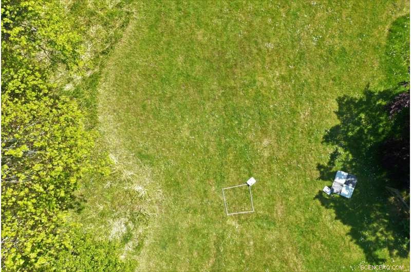 Using Satellites & Drones to Protect Pollinators