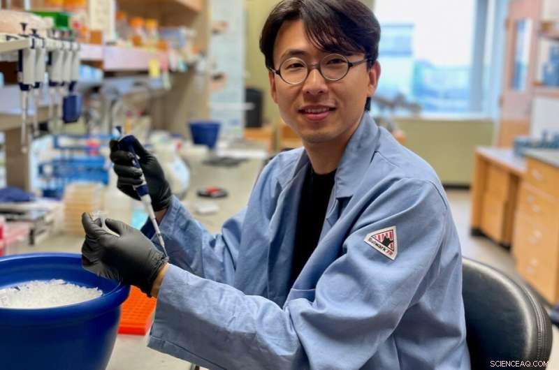 Evolutionary Changes in Genetic Predictability: A New Study