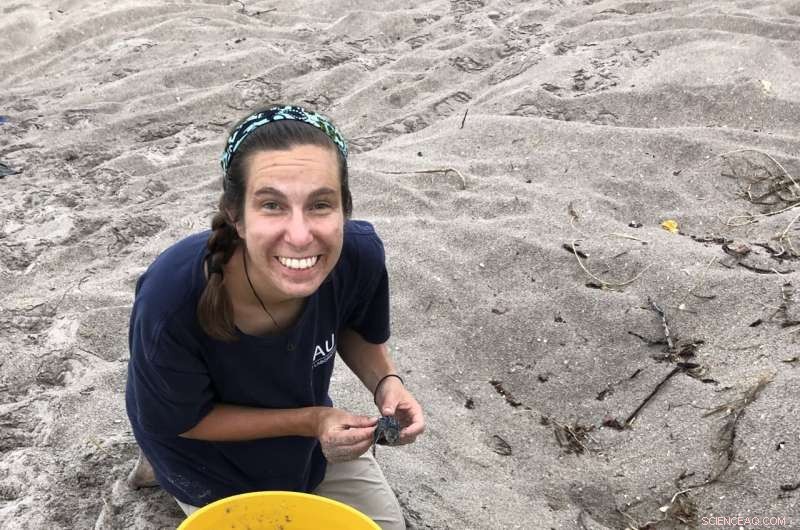 Why Leatherback Hatchlings Struggle to Find the Sea: New Research