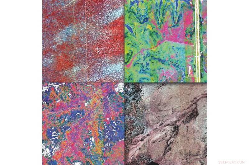 Satellite Imagery Enables Advanced Biodiversity Monitoring