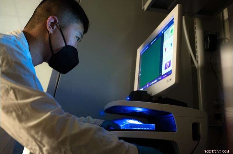 CRISPR Gene Editing Breakthrough: Rapidly Correcting Genetic Mutations