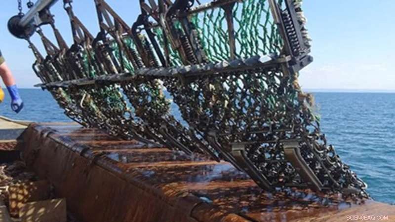 Innovative Scallop Dredge Modification Reduces Seabed Damage