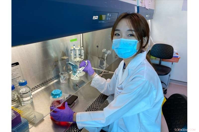 Early Detection of Microbial Contamination in Cell Therapy: A Critical Quality Attribute Approach