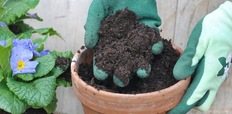 Plant Seed Dispersal: Balancing Ecosystem Health & Climate Resilience