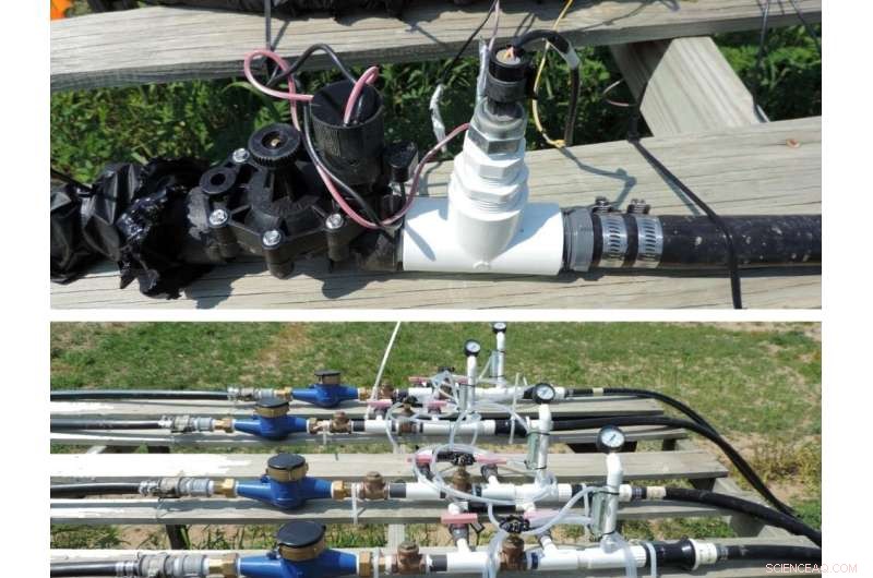 Precision Irrigation System for Tomatoes: Experimental Setup & Benefits