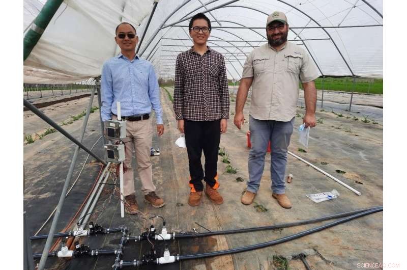 Precision Irrigation System for Tomatoes: Experimental Setup & Benefits
