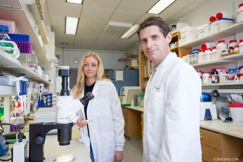 Lipid Depletion Signals: New Pathway Regulates Cellular Response