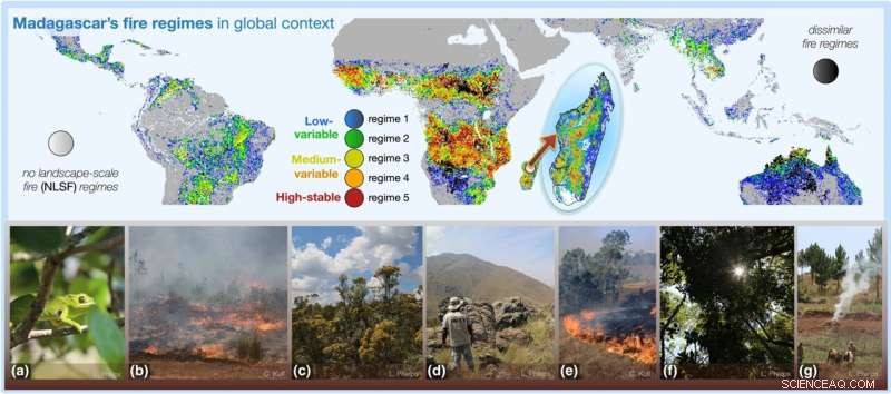 Madagascar Forest Loss: Large-Scale Fires, Not Small Land Clearing Blazes, Drive Deforestation