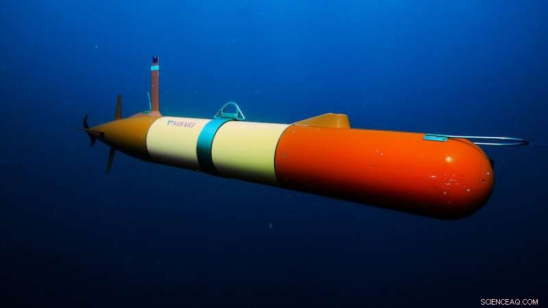 Revolutionary eDNA Technology Advances Ocean Health Monitoring