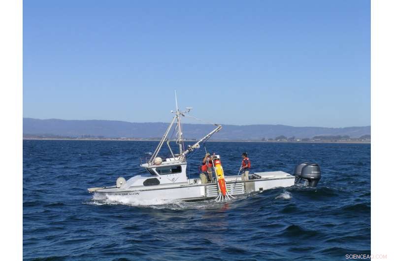 Revolutionary eDNA Technology Advances Ocean Health Monitoring