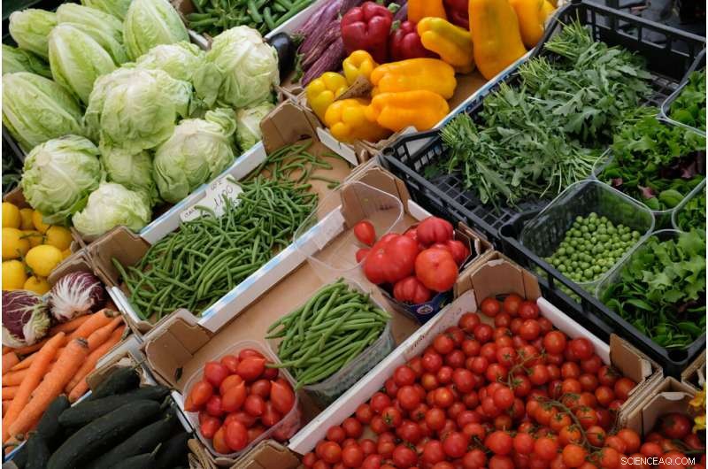 Mediterranean Diet: Report Highlights Food Diversity and Conservation Needs