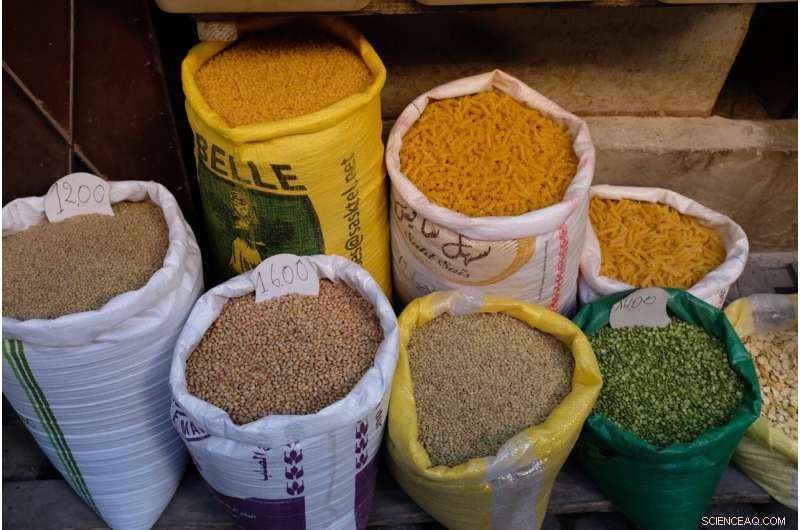 Mediterranean Diet: Report Highlights Food Diversity and Conservation Needs