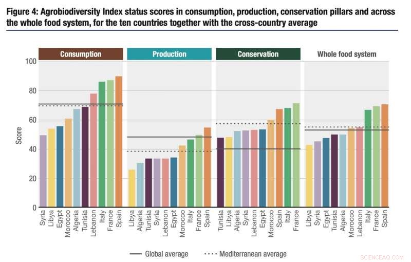 Mediterranean Diet: Report Highlights Food Diversity and Conservation Needs
