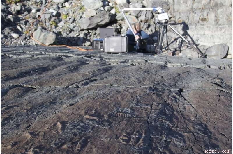 Ancient Ecosystems Preceded Cambrian Explosion: New Research Reveals