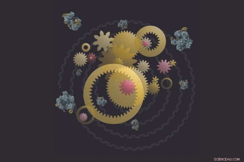 Genetic Mutations & Biological Evolution: New Research Insights