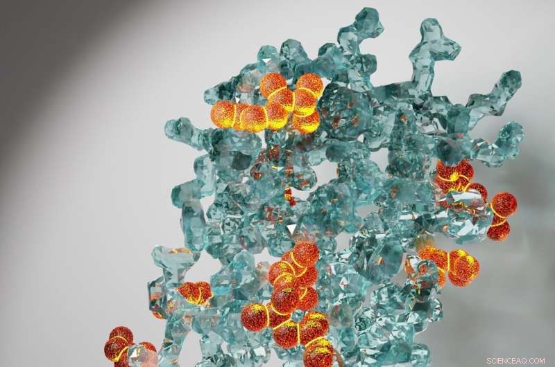 Advanced NMR Technique Reveals Protein Dynamics