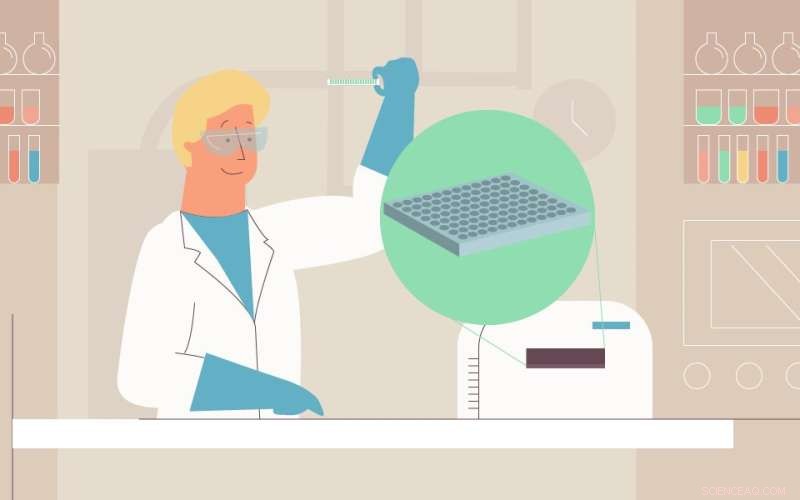 Non-Animal Cosmetic Testing: New Method Offers Faster, Reliable Allergen Screening