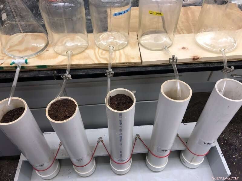 Optimizing Bioretention Cells for Enhanced Water Infiltration