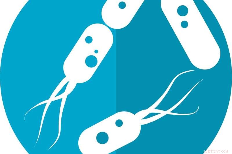 Ethical Considerations in Microbiome Research: A Critical Review