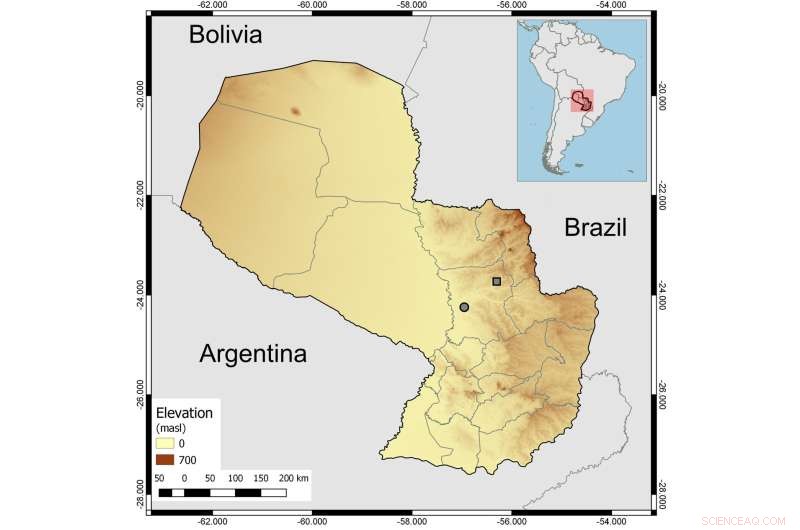 New Snake Species Discovered in Paraguay: *Phalotris shawnella*