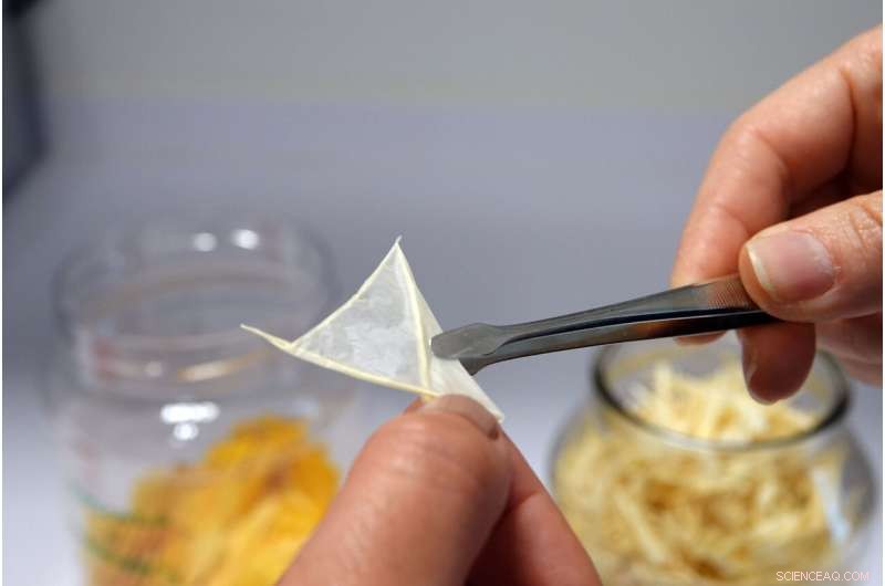 Plant Cuticle: The First Line of Defense Against UV Radiation - Research Highlights