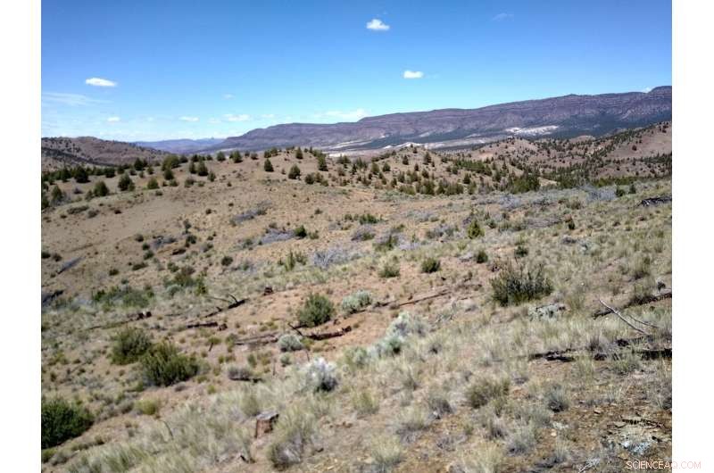 Long-Term Wildfire Control Strategies in Sagebrush Steppe Ecosystem | OSU