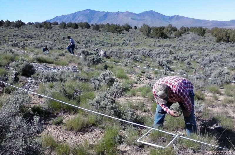 Long-Term Wildfire Control Strategies in Sagebrush Steppe Ecosystem | OSU