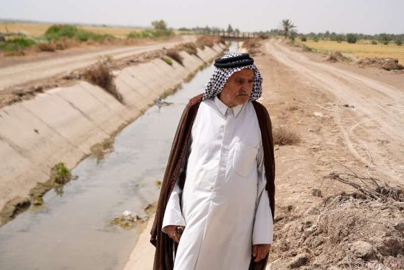 Drought Threatens Iraq s Vital Amber Rice Crop