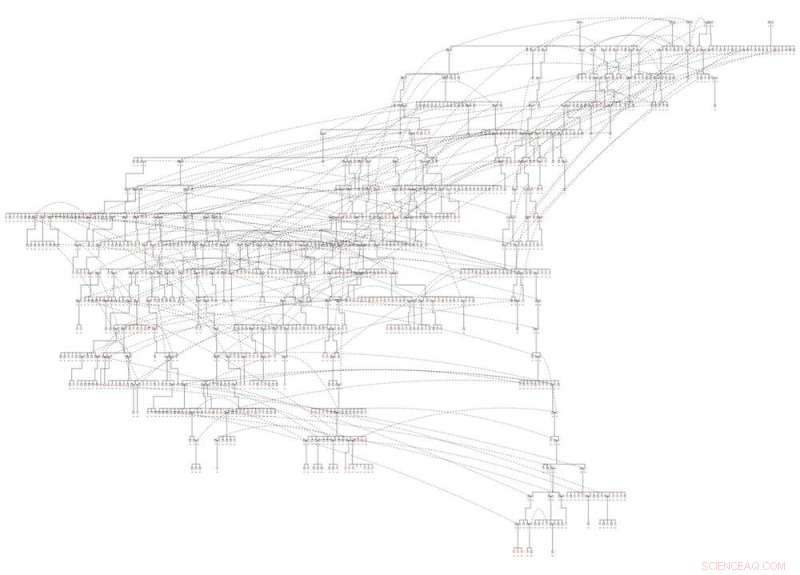 Mauritius Pink Pigeon: Recovery and Ongoing Genetic Diversity Concerns