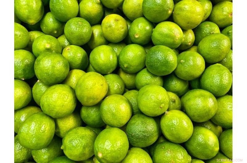 Sweet Lime Essential Oil: A Natural Pest Control Solution