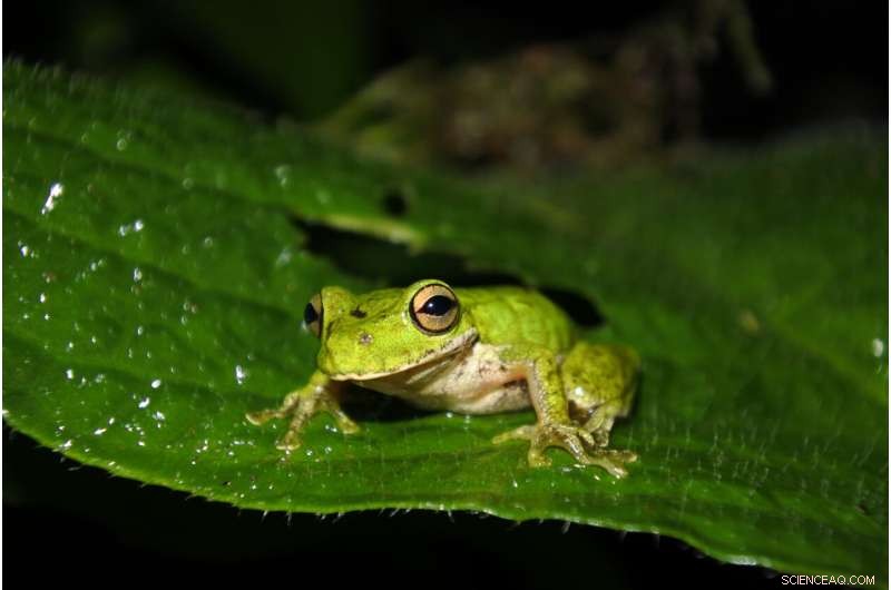 Caldo de Piedra: A Traditional Oaxacan Stone Soup Recipe