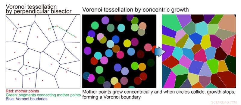 Geometric Tessellation in Drosophila Compound Eyes: A Tiling Mechanism