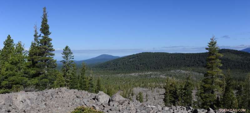 Tree Growth in a Changing Climate: What Scientists Are Discovering