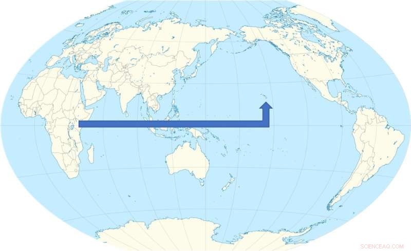 Chameleon Color Change: Survival, Fitness, and Predator Absence