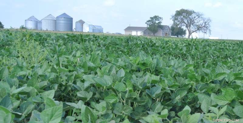 International Food Trade Surprisingly Boosts Biodiversity in Developing Nations