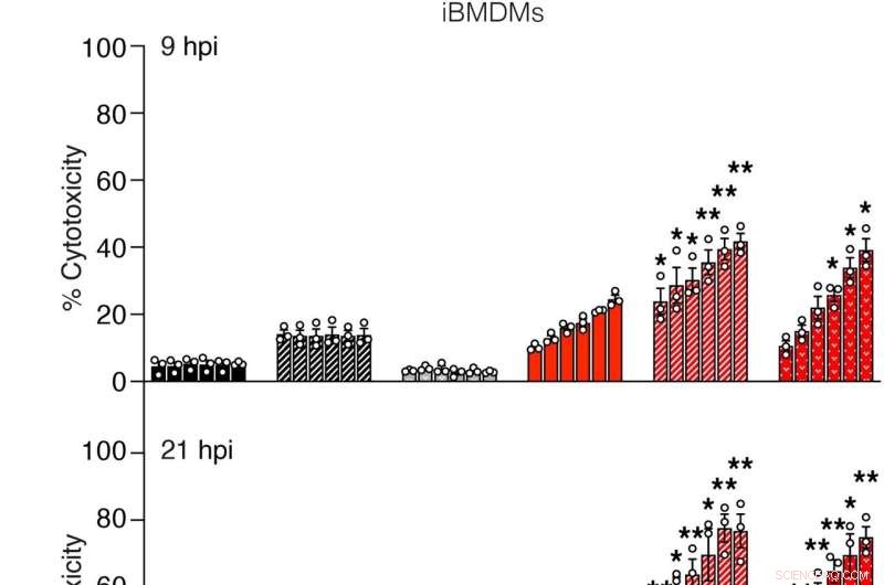 Enzyme Discovery Prevents Inflammatory Cell Death in Infection