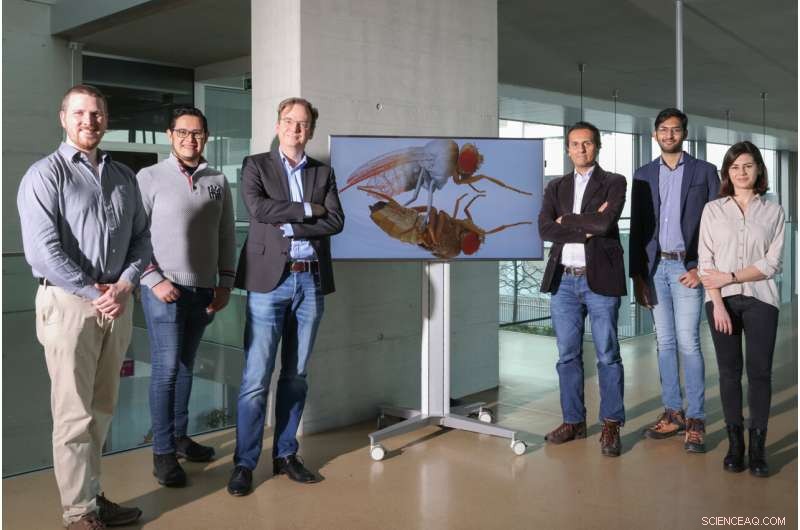 NeuroMechFly: A Realistic Digital Twin of the Fruit Fly