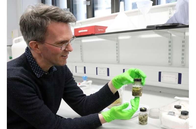 Ancient Platypus & Echidna Specimens Confirm Mammalian Egg-Laying – University of Cambridge