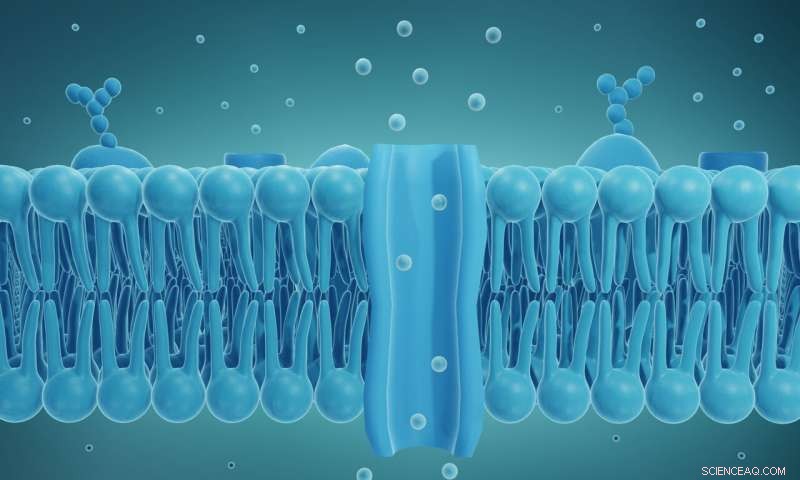DNA-Based Artificial Cell Channels: Controlled Opening & Locking Mechanism