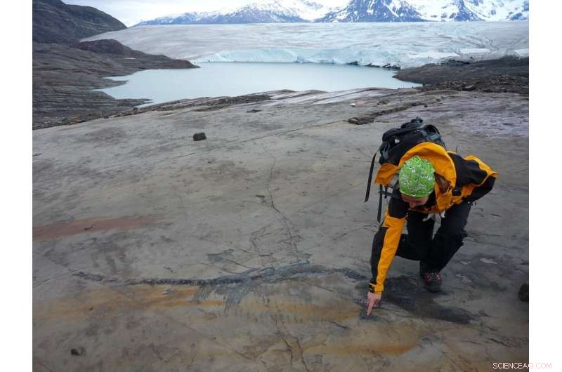 Chile s First Complete Ichthyosaur Fossil Discovered in Patagonia Glacier