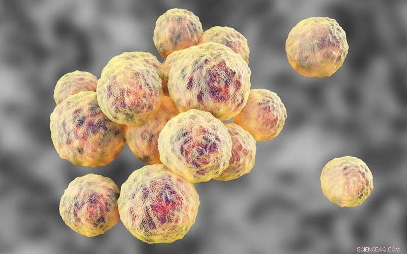 Understanding Antibiotic Resistance in Staphylococcus aureus