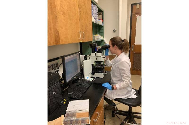 Animal Responses to Environmental Change: Understanding Fear and Adaptability