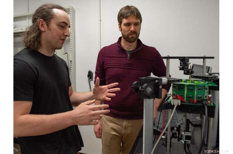 Animal Vision & Movement: Head-Body Coordination Found Across Species