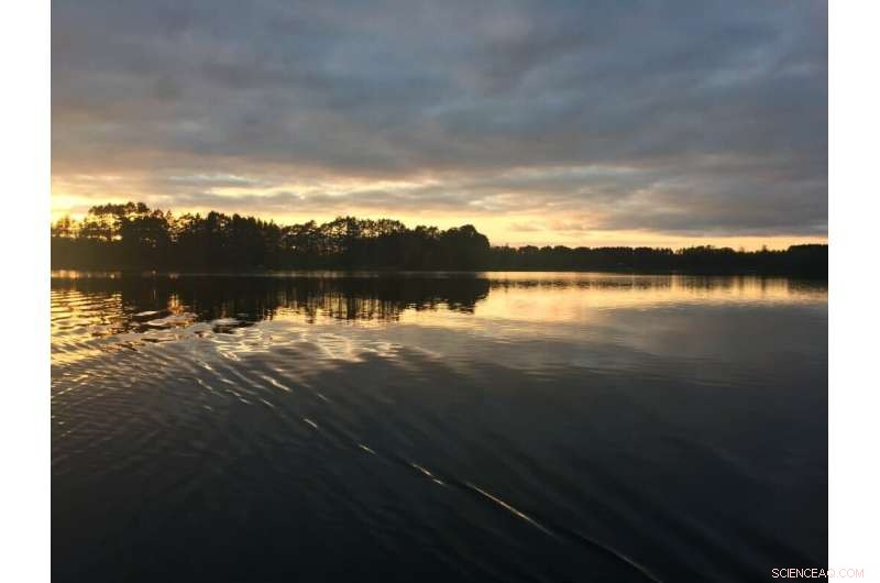 Adapting to Changing Waters: New Fishing Opportunities in Wisconsin