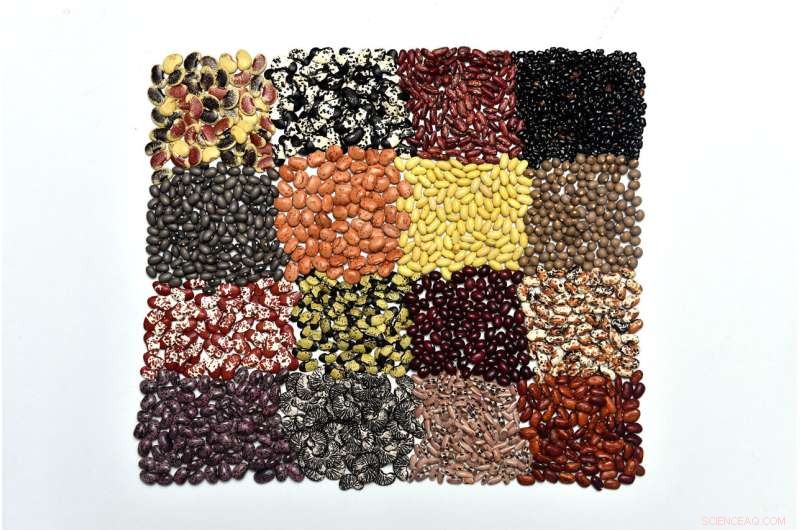 Crop Conservation: 50 Years of Progress & Remaining Gaps