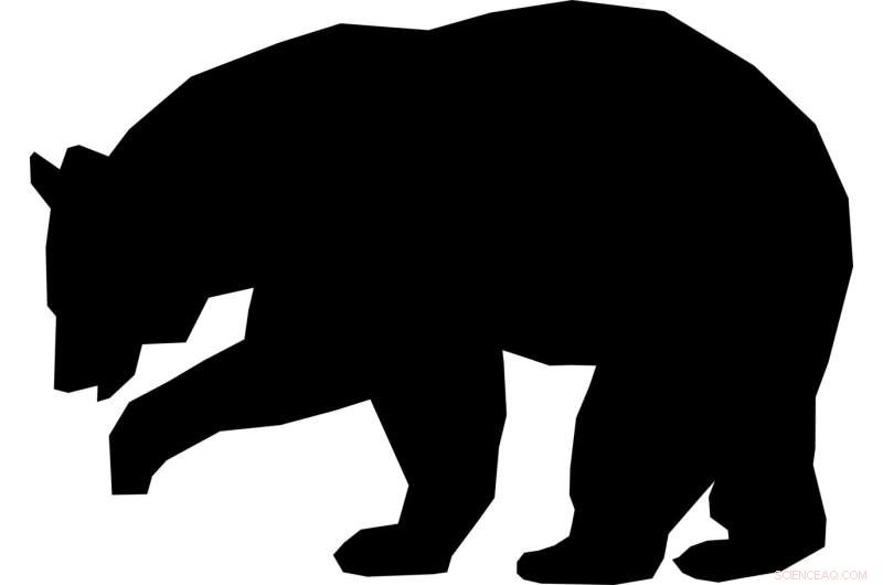 Massachusetts Black Bear Population on the Rise: Safety Tips