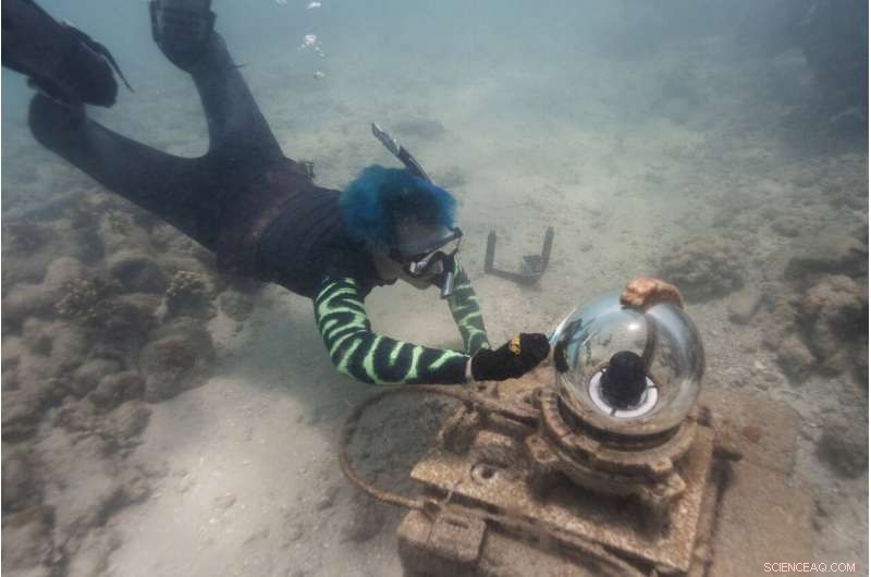 Coral Reefs Under Threat: A Scientific & Artistic Exploration