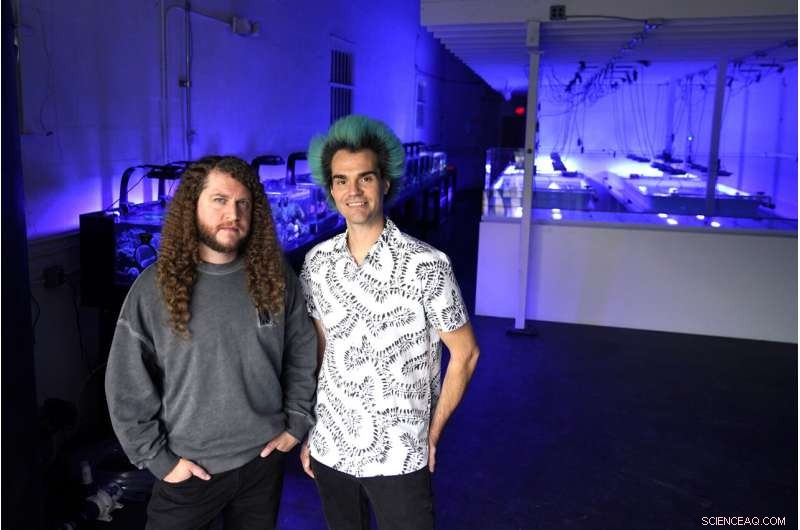 Coral Reefs Under Threat: A Scientific & Artistic Exploration