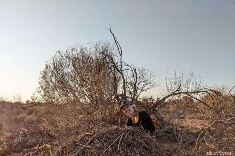 Understanding Female Leadership and Territory in Australian Wildlife
