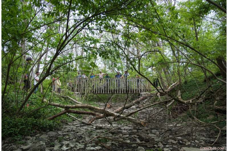 Improving Urban Stream Health: Low-Cost Habitat Solutions